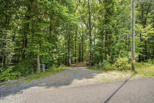 419 Mountain View Dr, Vonore, TN 37885 - photo 3