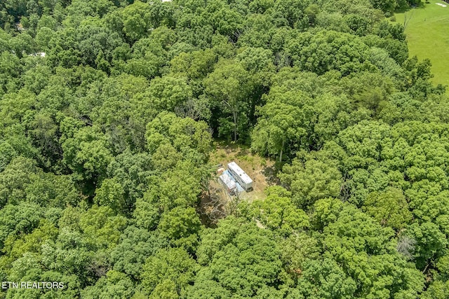 419 Mountain View Dr, Vonore, TN 37885 - photo 8