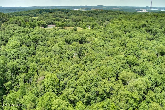 419 Mountain View Dr, Vonore, TN 37885 - photo 9