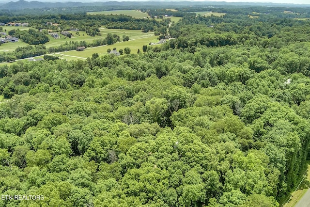 419 Mountain View Dr, Vonore, TN 37885 - photo 10