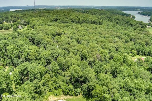 419 Mountain View Dr, Vonore, TN 37885 - photo 11