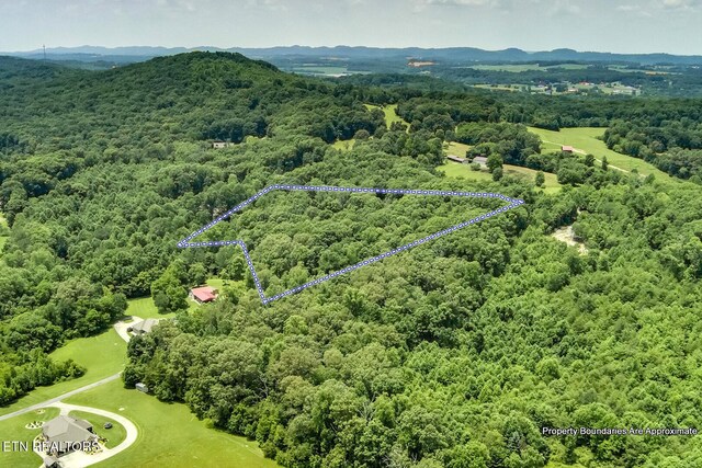 419 Mountain View Dr, Vonore, TN 37885 - photo 13