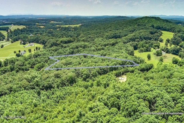 419 Mountain View Dr, Vonore, TN 37885 - photo 14