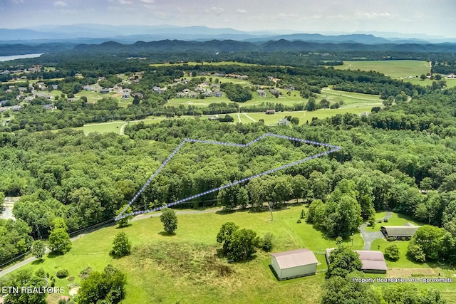 419 Mountain View Dr, Vonore, TN 37885 - photo 16