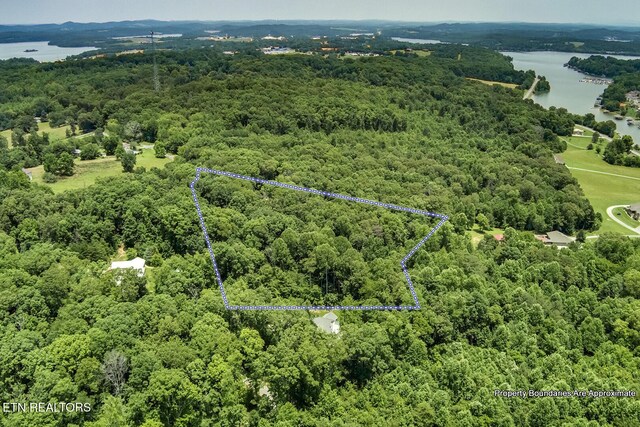 419 Mountain View Dr, Vonore, TN 37885 - photo 18