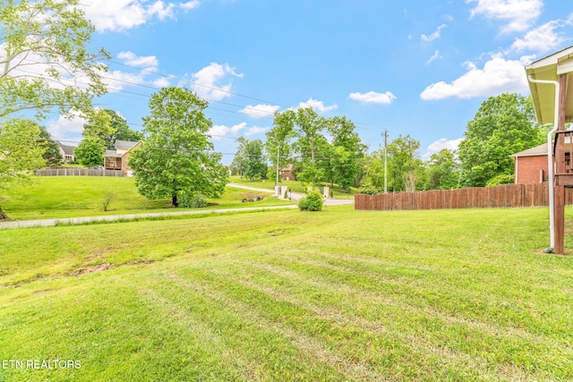 view of yard