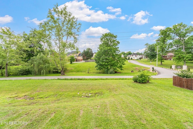 view of grassy yard