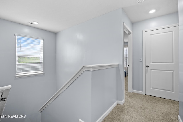 6125 Patrol Ln, Knoxville, TN 37920 - photo 19
