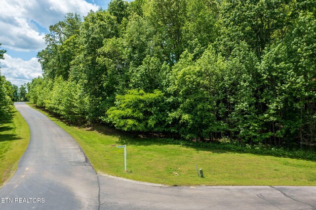 LOT127 E Shore Ln, Rockwood, TN 37854 - photo 5