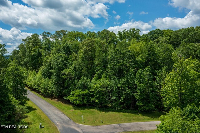 LOT127 E Shore Ln, Rockwood, TN 37854 - photo 6