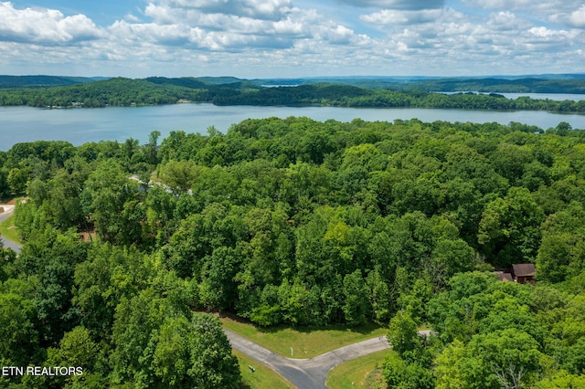 LOT127 E Shore Ln, Rockwood, TN 37854 - photo 4