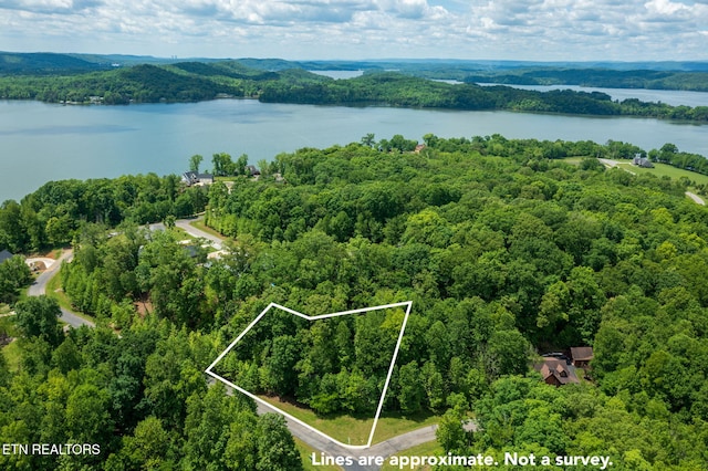 LOT127 E Shore Ln, Rockwood, TN 37854 - photo 3