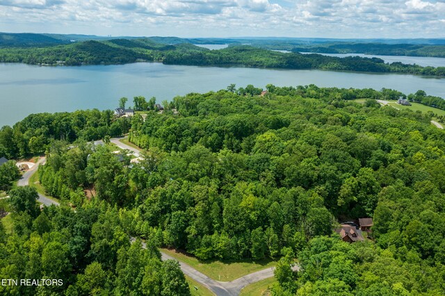 LOT127 E Shore Ln, Rockwood, TN 37854 - photo 7