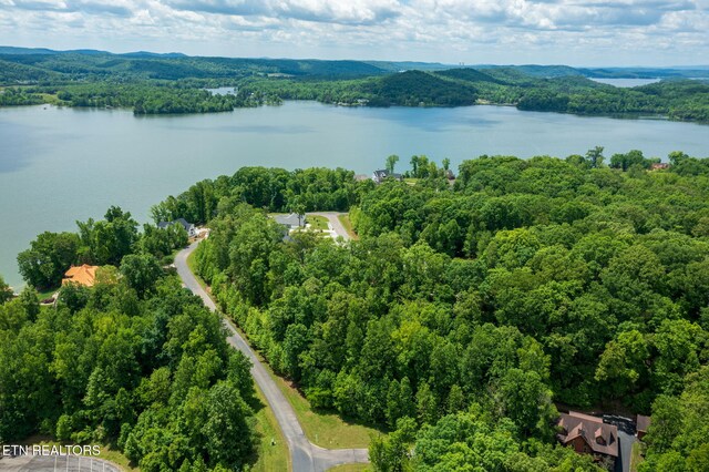 LOT127 E Shore Ln, Rockwood, TN 37854 - photo 8