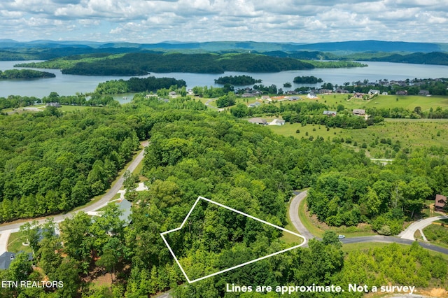 LOT127 E Shore Ln, Rockwood, TN 37854 - photo 10