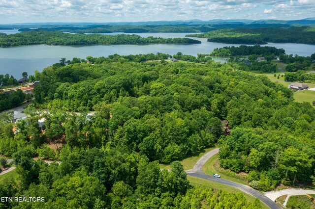 LOT127 E Shore Ln, Rockwood, TN 37854 - photo 12