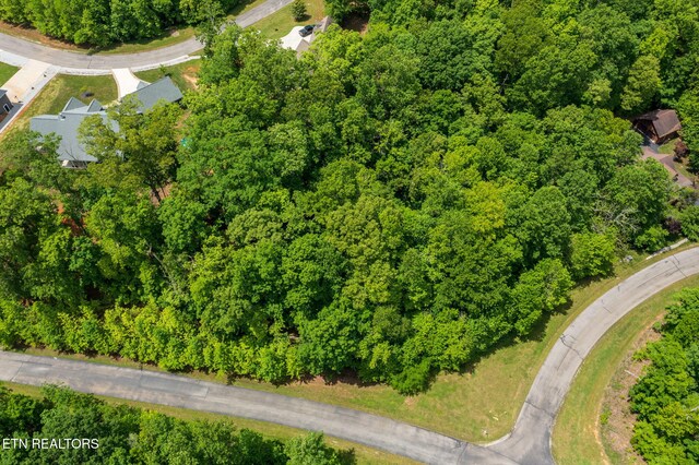 LOT127 E Shore Ln, Rockwood, TN 37854 - photo 13