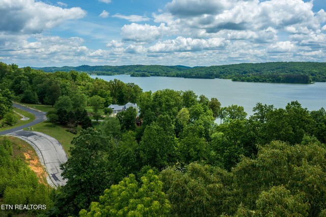 LOT127 E Shore Ln, Rockwood, TN 37854 - photo 14