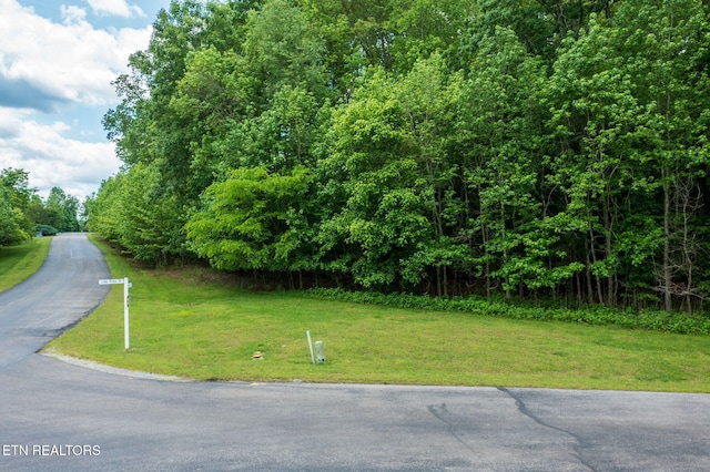 LOT127 E Shore Ln, Rockwood, TN 37854 - photo 15