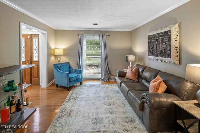 2336 Brighton Farms Blvd, Knoxville, TN 37932 - photo 5