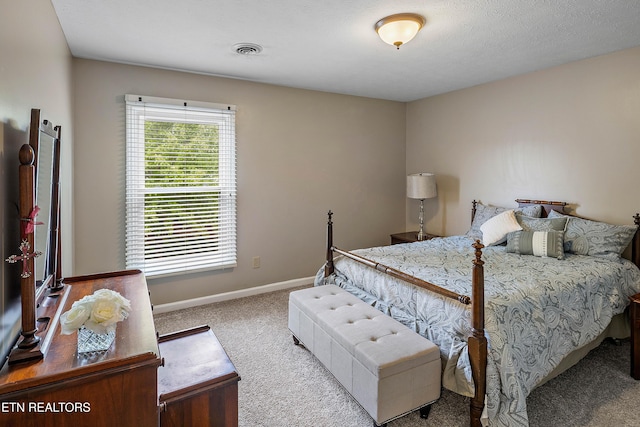 2336 Brighton Farms Blvd, Knoxville, TN 37932 - photo 23