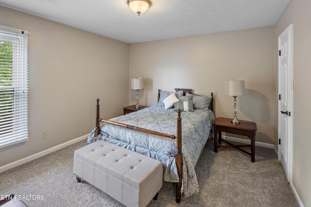2336 Brighton Farms Blvd, Knoxville, TN 37932 - photo 24