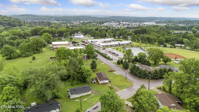 bird's eye view