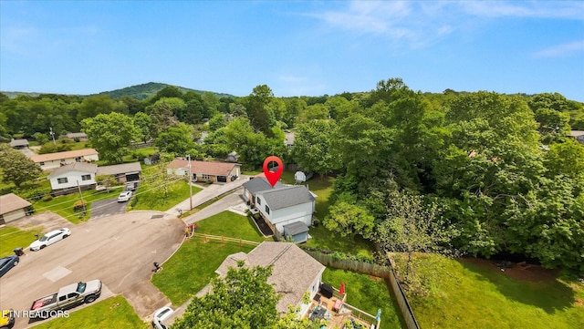 4904 Lancer Dr, Knoxville, TN 37921 - photo 37