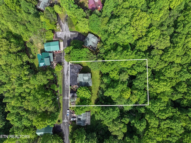 3209 Bear Country Way, Sevierville, TN 37876