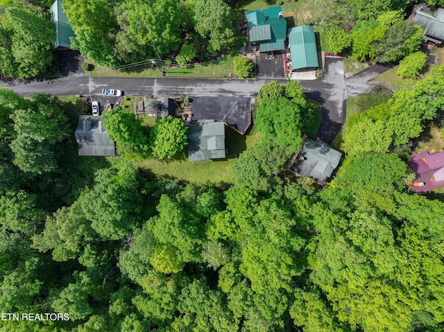 3209 Bear Country Way, Sevierville, TN 37876