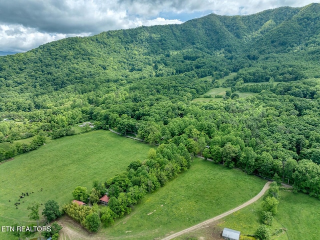 1153 Schoolhouse Gap Rd, Townsend, TN 37882