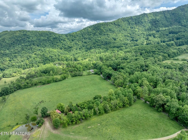 1153 Schoolhouse Gap Rd, Townsend, TN 37882