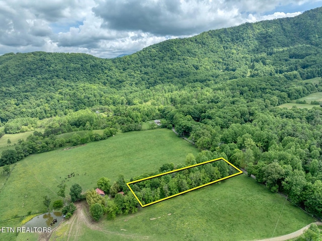 1153 Schoolhouse Gap Rd, Townsend, TN 37882