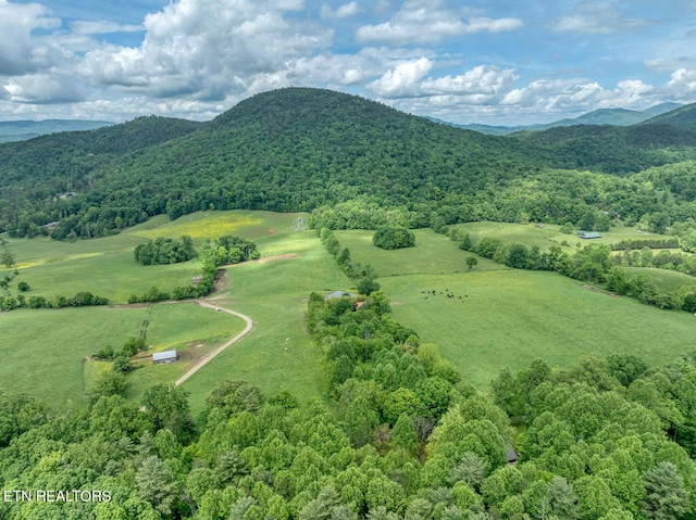 1153 Schoolhouse Gap Rd, Townsend, TN 37882