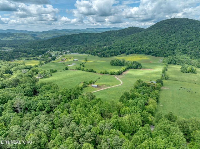 1153 Schoolhouse Gap Rd, Townsend, TN 37882