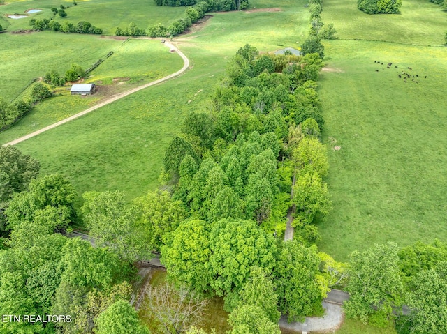 1153 Schoolhouse Gap Rd, Townsend, TN 37882