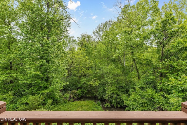 462 Chapel Grove Ln, Knoxville, TN 37934 - view of yard