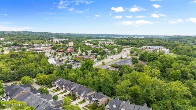 462 Chapel Grove Ln, Knoxville, TN 37934 - aerial view of residential area featuring a forest