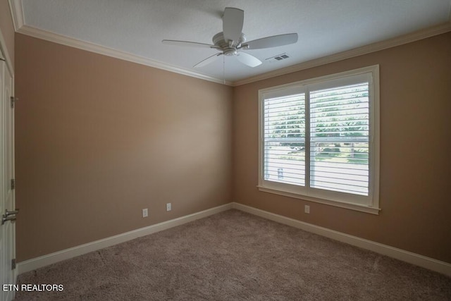 462 Chapel Grove Ln, Knoxville, TN 37934 - empty room featuring ceiling fan, carpet floors, and crown molding