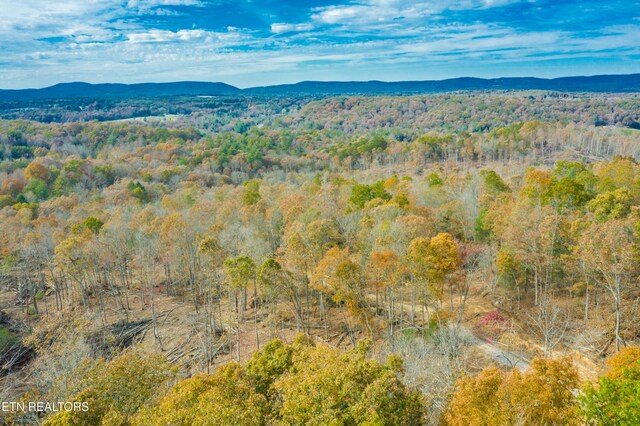 Tower Rd, Rockwood, TN 37854 - photo 2