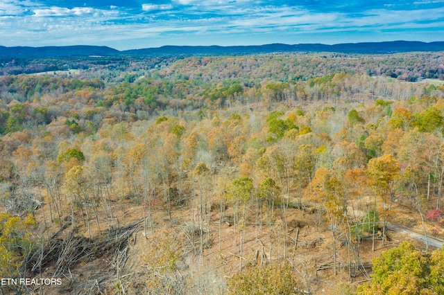 Tower Rd, Rockwood, TN 37854 - photo 3