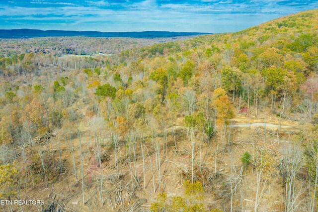 Tower Rd, Rockwood, TN 37854 - photo 4
