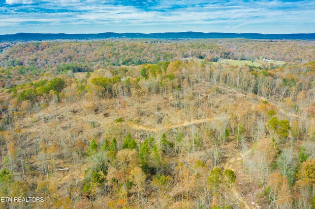 Tower Rd, Rockwood, TN 37854 - photo 7