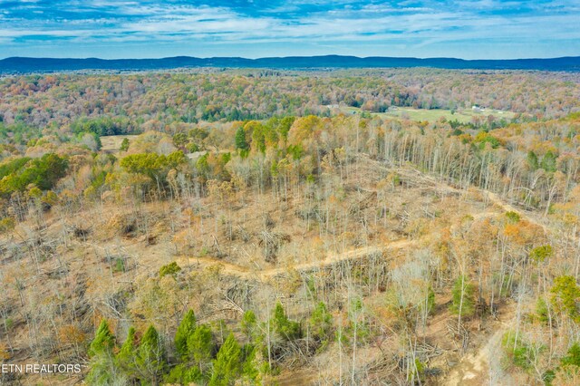 Tower Rd, Rockwood, TN 37854 - photo 8