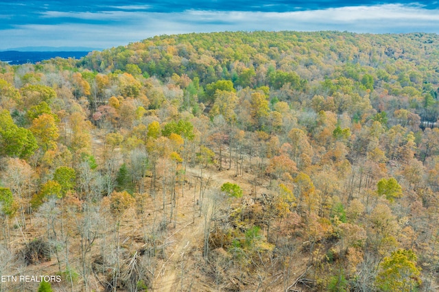 Tower Rd, Rockwood, TN 37854 - photo 9