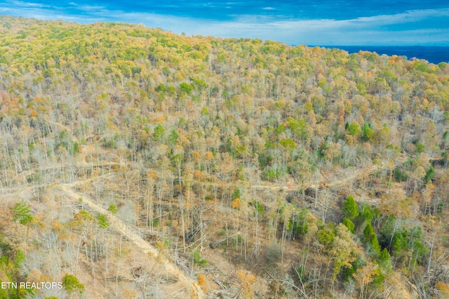 Tower Rd, Rockwood, TN 37854 - photo 10
