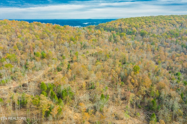 Tower Rd, Rockwood, TN 37854 - photo 11