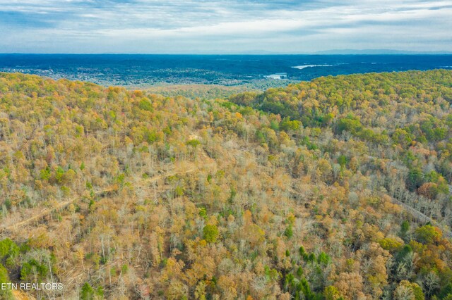 Tower Rd, Rockwood, TN 37854 - photo 13