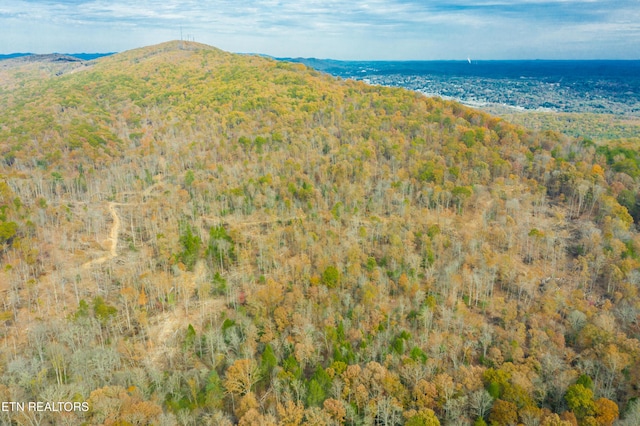 Tower Rd, Rockwood, TN 37854 - photo 14