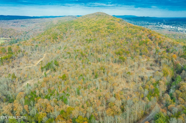 Tower Rd, Rockwood, TN 37854 - photo 16